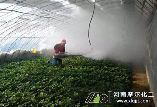 叶面肥使用方法