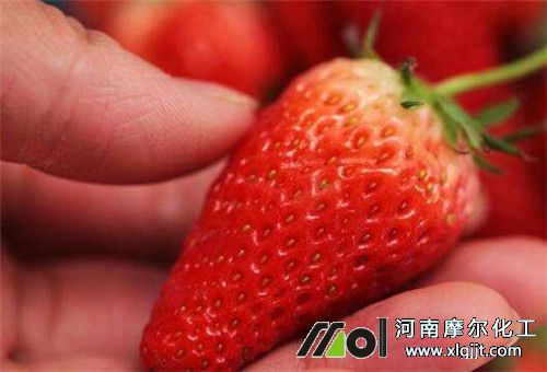 草莓叶面肥喷施注意