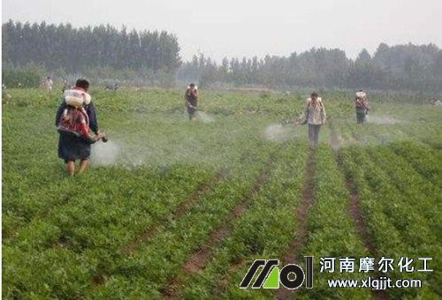 叶面肥见效时间