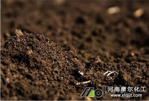 生菜施肥管理
