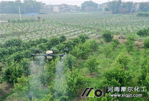 糖醇钙喷施天气